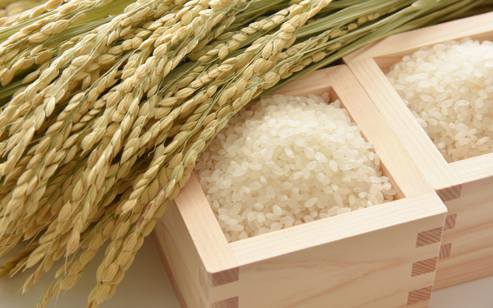 離乳食・幼児食 / 家族 子育て・家族 family 離乳食 幼児食 家族ごはん 取り分け アレルギー 薄味